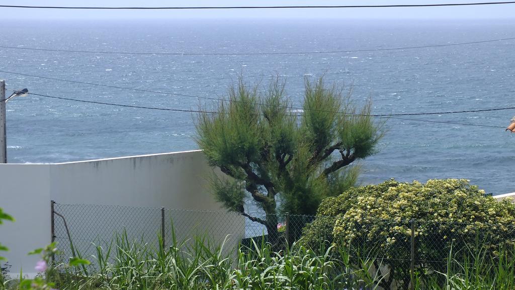 Santa Cruz Ocean Apartment - II Εξωτερικό φωτογραφία